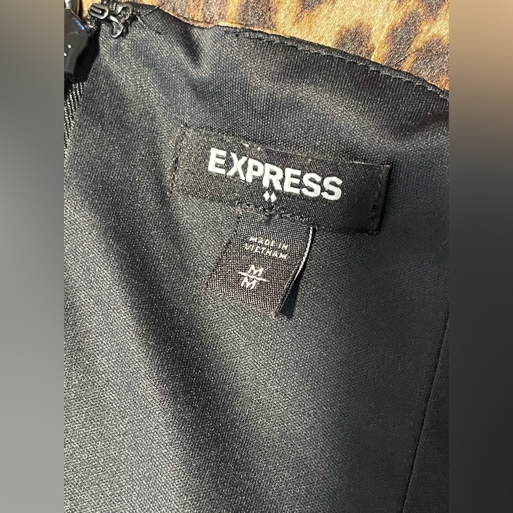 Express Leopard Print Dress - Picture 6 of 7